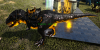 dino4_t1.png